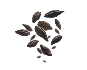 Ripe corn grains levitate on a white background