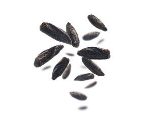 Roasted rye malt grains levitate on a white background