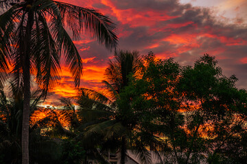 The background of the twilight sunset, the sky has beautiful changes, amidst the green fields and various trees, there is a cool breeze blowing throughout the journey to the viewpoint.