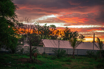 The background of the twilight sunset, the sky has beautiful changes, amidst the green fields and various trees, there is a cool breeze blowing throughout the journey to the viewpoint.