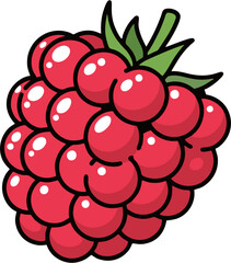 Raspberry Vector Illustration