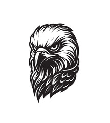 Fierce Eagle Head Illustration with Detailed Feathers.