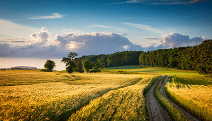 Obraz premium Summertime In The Countryside August Landscape Pomerania Poland