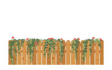 Charming Wooden Fence with Vibrant Flowers and Lush Green Vines - Garden Border Illustration with Empty Space for Text, Nature Scene, Countryside.