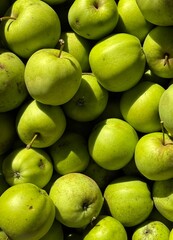 fresh green apples
