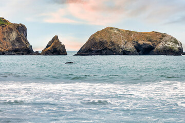 Scenic Rodeo Beach and Rodeo Cove in Marin Headlands, California. Rugged sea stacks, ocean waves, and dramatic cliffs along the Pacific Coast Highway near San Francisco Bay Area