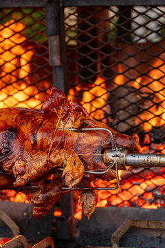 Vue d&rsquo;un cochon entier cuit &agrave; la broche lors d&rsquo;une pr&eacute;paration traditionnelle, illustrant une cuisson lente en ext&eacute;rieur avec une pr&eacute;sentation conviviale.