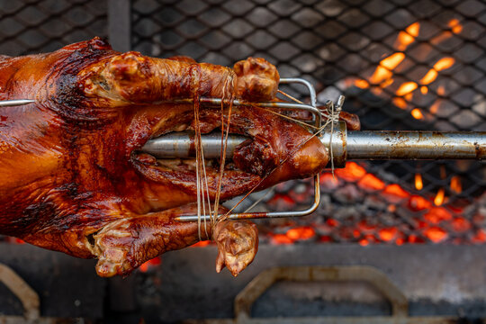 Vue d&rsquo;un cochon entier cuit &agrave; la broche lors d&rsquo;une pr&eacute;paration traditionnelle, illustrant une cuisson lente en ext&eacute;rieur avec une pr&eacute;sentation conviviale.
