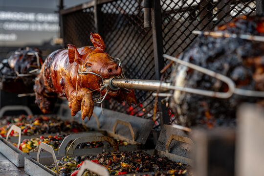 Vue d&rsquo;un cochon entier cuit &agrave; la broche lors d&rsquo;une pr&eacute;paration traditionnelle, illustrant une cuisson lente en ext&eacute;rieur avec une pr&eacute;sentation conviviale.