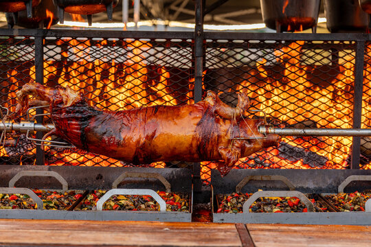 Vue d&rsquo;un cochon entier cuit &agrave; la broche lors d&rsquo;une pr&eacute;paration traditio