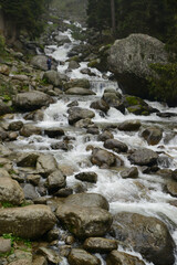 A waterfall cascades down a cliff face during heavy rains, creating a picturesque scene in Pahalgam, a place surrounded by lush pine forests in Jammu and Kashmir, India.