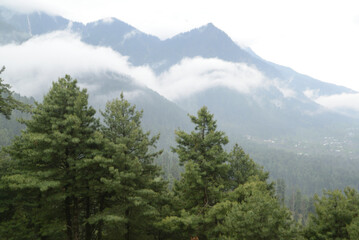 The Himalayas, shrouded in mist, create a beautiful view from Pahalgam, a place surrounded by lush pine forests in Jammu and Kashmir, India.