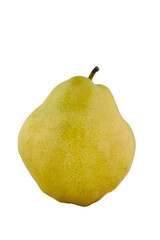 Pear on White Background in Square Format