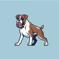 Boxer dog holding a ball and standing on blue background  
