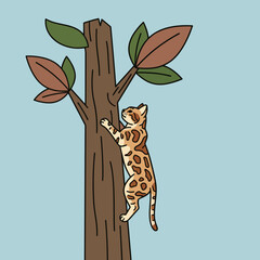 Bengal cat climbing a tree with green leaves on a blue background  
