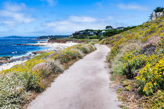 Scenic coastal trail at Carmel Meadows in California USA with vibrant wildflowers, sandy path, and panoramic views of the Pacific Ocean and Monterey Bay coastline on a clear summer day