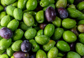 Cypriot Olives Piled Background Mediterranean cuisine
