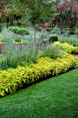 Flowers and shrubs in a park