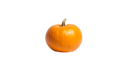 Orange pumpkin isolated on white background for vegetable autumn harvest and seasonal design illustration
