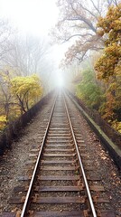 Fototapeta premium Railroad tracks through foggy autumn woods