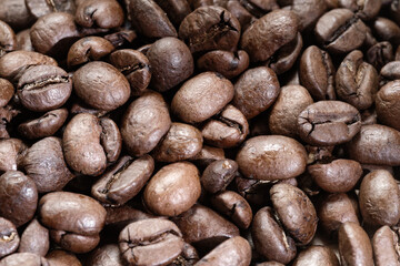 Coffee beans on the dark wooden background