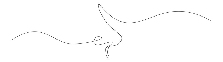 Continuous Line Drawing of a Nose