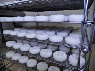 Fromages picodons sur grilles, gouttelettes