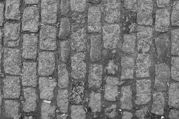 Close-up black and white image of the cobblestone paving of an old street. © Nataly Regina