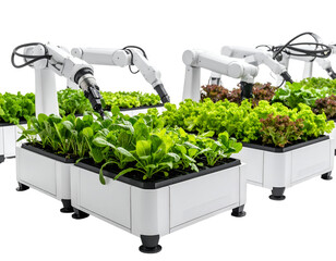 Advanced robotic systems cultivating fresh greens in automated hydroponic garden beds for sustainable farming