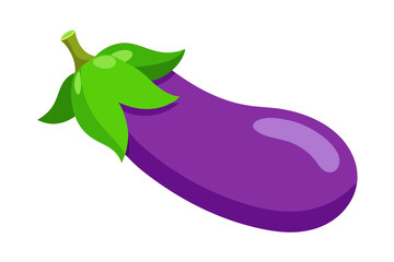 eggplant vector illustration
