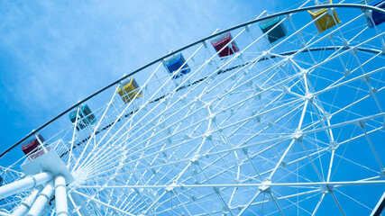 ferris wheel in the park