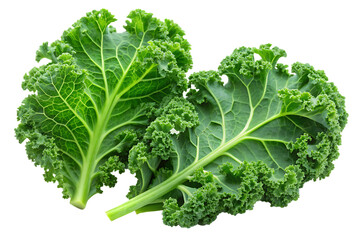 Two fresh green kale leaves on white background isolated on a transparent background