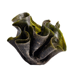 Unique dark green seaweed with curly texture, perfect for culinary uses and natural decorations