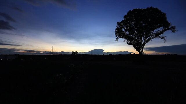 Natural video background of various trees growing along the edge of a large reservoir, with a cool breeze, colorful twilight sky, and the richness of the forest system.