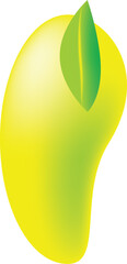 mango vector