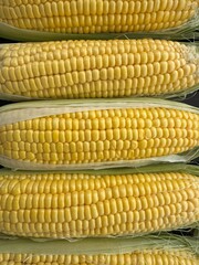 Fresh corn on the cob close up.
Sweet yellow corn with husk, close up detail. Natural vegetable background, perfect for healthy food, harvest and agriculture concepts.