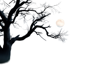 Dark tree branches under full moonlight