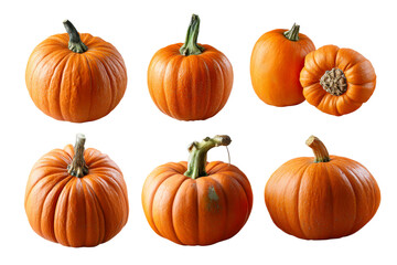 Vibrant pumpkins in various shapes and sizes