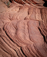 Intricate patterns in the red rock surface, showcasing nature's craftsmanship.