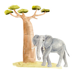 Hand-painted watercolor illustration of a majestic elephant and a baobab tree with lush green foliage standing on green grass. Artistic wildlife artwork with soft textures and delicate brushstrokes. 