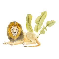 Hand-painted watercolor illustration of a majestic lion and banana tree in the background. Artistic wildlife artwork with soft textures and delicate brushstrokes. Perfect for posters, prints, cards, a