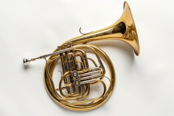 Obraz premium French horn performance french horn sousaphone.