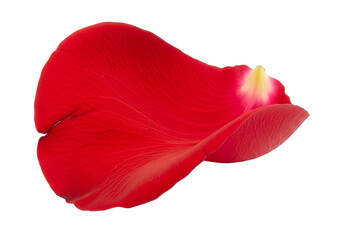 A vibrant, crimson rose petal, delicately textured and subtly highlighted, is presented against a stark black backdrop.