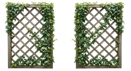 Two rustic wooden lattice panels are adorned with lush green climbing plants, creating a decorative and natural scene.