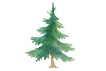 Fototapeta premium Watercolor big green pine tree painting for winter holiday season celebrating christmas and new year with transparent background