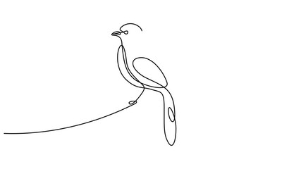 Self drawing line animation flying dove with olive branch peace continuous one single line drawn. Full length motion - Powered by Adobe