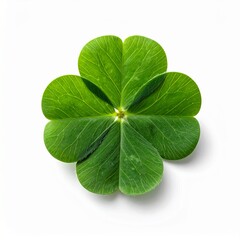 Vibrant green four-leaf clover, a quintessential emblem of luck and good fortune, prominently displayed with a gentle shadow on a clean white background, symbolizing hope and natural serenity