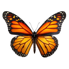 Obraz premium Monarch butterfly wingspan isolated on transparent background