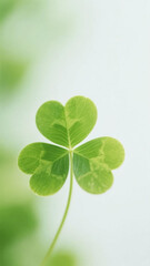 green leaf clover