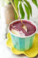 Small container of colorful and fruity artisanal ice cream. Decorated in pastel tones. whith 